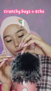 Echo Bug New R6 Season