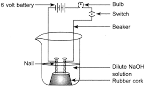 We did not find results for: Mcq Questions For Class 10 Science Acids Bases And Salts With Answers Learn Cbse