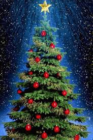 Https Encrypted Tbn0 Gstatic Com Images Q Tbn And9gcqsazky H Zcaye4csnwxmlfa 6fk7myz2zww Usqp Cau