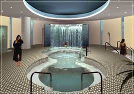Kohler Water Spa Mapped Spa Pool Hot Tub Kohler