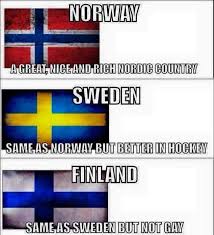 Reading this on the telegraph app? Suomi Memes