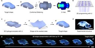 Check spelling or type a new query. 2d Material Programming For 3d Shaping Nature Communications