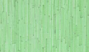 Ikal geometri latar belakang bergaya gradien ungu biru abstrak. Wallpaper Hijau Muda 1080x630 Download Hd Wallpaper Wallpapertip