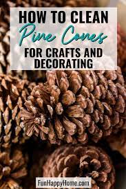How To Clean Pine Cones And Prepare Them For Decorating And Crafts - Fun  Happy Home