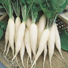 Radish seeds can be sown 1/2 inch deep and they germinate in 3 days. Creative Farmer Vegetable Seeds White Radish Seeds Radish Seeds For Gardening In Pots Home Garden Seeds Amazon In Garden Outdoors