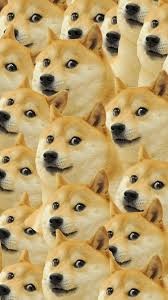 Find the best doge wallpapers on wallpapertag. Shiba Inu Doge Wallpaper Home Screen Dog Wallpaper Iphone Dog Wallpaper Doge Meme