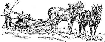Related Image Clip Art Art Free Horses
