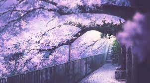 Lift your spirits with funny jokes, trending memes, entertaining gifs, inspiring stories, viral videos, and so much. Calm Anime Wallpaper Page 1 Line 17qq Com