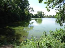 Maintaining your storm water pond. Living Near Stormwater Management Ponds City Of Sarnia