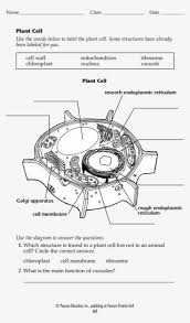 Check spelling or type a new query. Blank Plant Cell Worksheet Form Fillable Pdf Template Circle Png Image Transparent Png Free Download On Seekpng