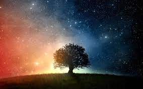 Space Trees Grass Stars Wallpapers Hd In 2021 Tree Wallpaper Star Wallpaper Wallpaper