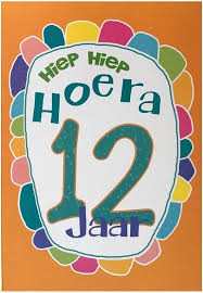 Bol Com Verjaardagskaart 12 Jaar Wenskaart Verjaardag Kaart 12 Jaar