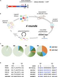 Image result for Dark Hunter Green 1998 AAV