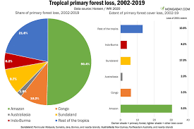 Film korea touch 2020 episode 1. 5 Reasons Why Tropical Forest Protection Should Be Central To Corporate Climate Strategies The European Sting Critical News Insights On European Politics Economy Foreign Affairs Business Technology Europeansting Com