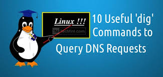8 Comando De Linux Dig Domain Information Groper Para Consultar Dns