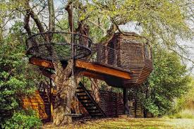 Things to do near moviehouse & eatery, austin, tx. Tree Houses Living Structures