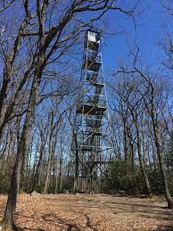 Whether the food is baked, fried, sautéed, bo. The Cooks Forest Fire Tower Bild Von Cook Forest State Park Cooksburg Tripadvisor
