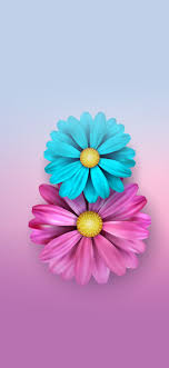 Wallpapers Iphone Xr Papier Peint A Fleurs Fond Ecran Iphone Fond D Ecran Papillon