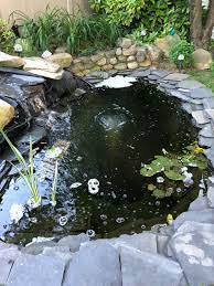 Check spelling or type a new query. Pond Bubbles Cause For Concern
