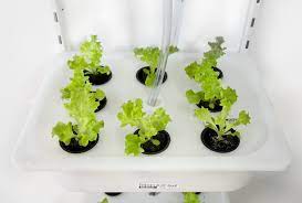 Browse our range of gardening tools online at ikea, including garden scissors & secateurs. How To Grow Food At Home With An Ikea Hydroponic System