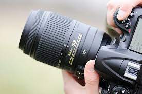 Bird Photography Tips For Perfect Bird Portraits Step 1 Bird Photography Photography Tips Digital Camera Tips