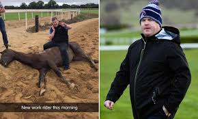 The horse trainer gordon elliott is under investigation after a photograph of him apparently sitting on top of a dead horse was widely distributed on social media over the weekend. Ru6eo4a5kyqdrm