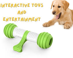 Pet Gadgets and Accessories for 2024 ...