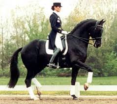 Olympic Ferro And Coby Van Baalen Piaffe Dressage Horses Equestrian Dressage Horses
