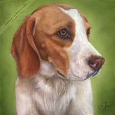 Pet portrait painting from photo. Tips On Painting A Dog Portrait Bored Art