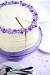 Beginner Simple Cake Decorating Designs