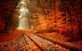 See more of fall photography on facebook. Photo Tip Tuesday Where To See And Photograph Fall Foliage Across The Country Vnc Photography