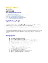 digital marketing manager resume
