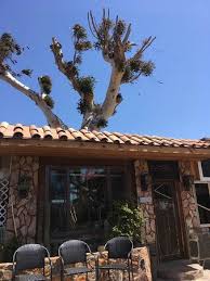 We did not find results for: Eucalipto Restaurant San Quintin Restaurant Reviews Photos Phone Number Tripadvisor