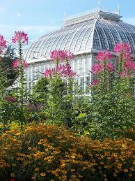 The kaisaniemi garden is open to the public. At The Botanic Garden Helsinki Norway Sweden Finland Finland