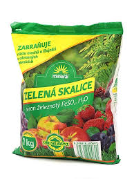 Image result for z p%u0159ednice jedovat 