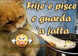 Immagini Con Frasi Proverbi Napoletani Proverbi Immagini Citazioni