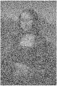 Two 3x3 convolution kernels have been used to generate vertical and horizontal derivatives. How To Build Amazing Image Filters With Python Median Filter Sobel Filter Dev Community