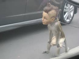 In any free society, we should be able to ask questions and make our own choices about receiving medical treatment, or not. Faces Of Jakarta Topeng Monyet Landakungu