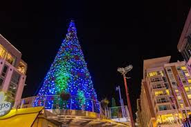 Whether you're planning a wedding, cocktail party, or reception, serve up the perfect event with catering supplies, serving utensils, decorations, and party favors for less. Maryland Holiday Light Displays And Tree Lightings Chesapeake Family