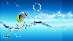 Check spelling or type a new query. Live Hd For Pc Wallpapers Free Live Hd For Pc Wallpaper Download Wallpapertip