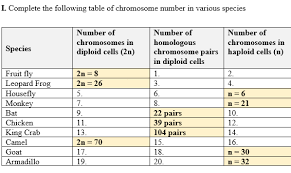 The difference between haploid and diploid cells is related to the number of chromosomes that the cell contains. Solved I Complete The Following Table Of Chromosome Numb Chegg Com