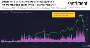 Ethereum eth has stolen the limelight from bitcoin btc yet again. 2jsth17yjgaa7m