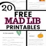 This may sound naive, but i really didn't put two and two together that mad libs were such a great language arts activity. 21 Free Printable Mad Libs For Kids Mad Libs Templates