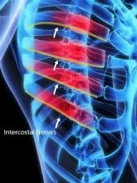 Pin On Treatments