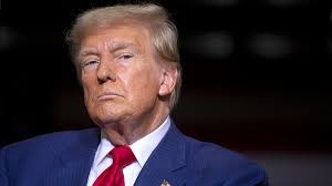 Trump's 'blacklist': President-elect describes the type of people he  doesn't want to hire