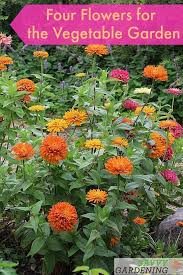 Check out results for your search Four Flowers For The Vegetable Garden Planting Flowers Vegetable Garden Design Garden Plants Vegetable