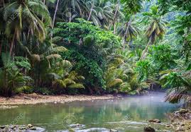 Image result for greenery