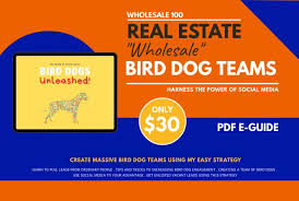 Wholesale100 I Will Teach Finding Real Estate Wholesale Leads Using Bird Dogs For 30 On Fiverr Com In 2020 Wholesale Real Estate Power Of Social Media Teaching
