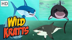 Steelers too good for sharks in tarsha clash. Wild Kratts Sharks Predator And Prey Shark Week Kids Videos Youtube