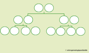 Arbre de famille, arbre généalogique sur mesure. Arbre Genealogique Photo Gratuit A Imprimer Choisir Quelque Chose Facilement
